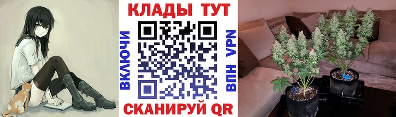Где продают наркотики Серов COCAIN  Амфетамин  ГАШИШ  Канабис  Меф мяу мяу 