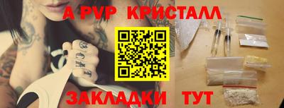 твердый Пугачёв
