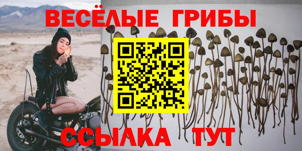 Псилоцибиновые грибы GOLDEN TEACHER  Вход с VPN  Серов  Псилоцибиновые грибы мицелий 