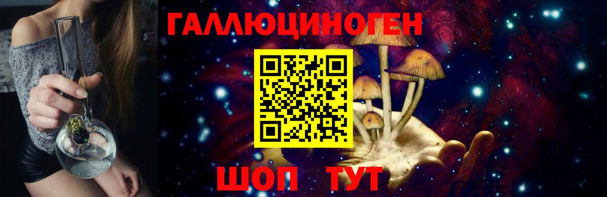 Псилоцибиновые грибы GOLDEN TEACHER Серов